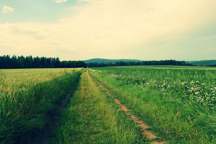 Vrch Stražiště směrem od Pacova – Foto: Jakub Raš